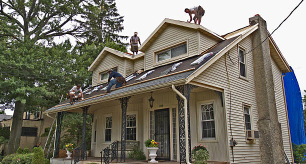 Best Shingle Roofing Installation  in Zuni Pueblo, NM